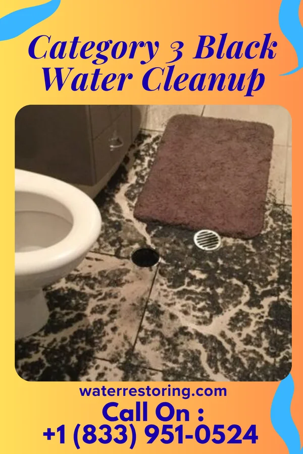 Category 3 Black Water Cleanup in Bryant, IN