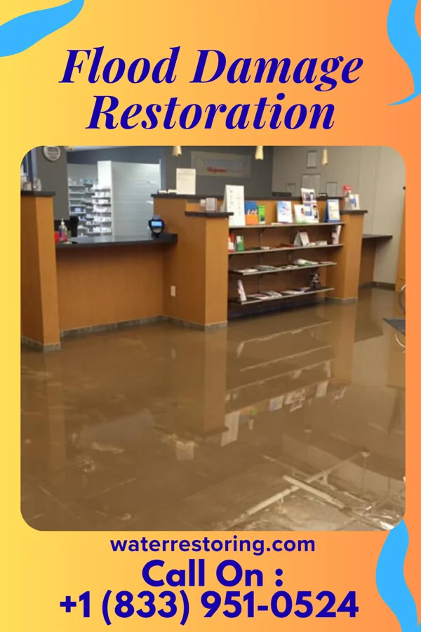 Flood Damage Restoration in Bryant, IN