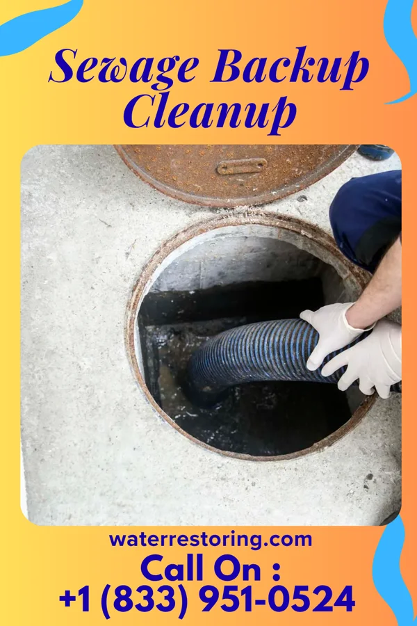 Sewage Backup Cleanup in Bryant, IN