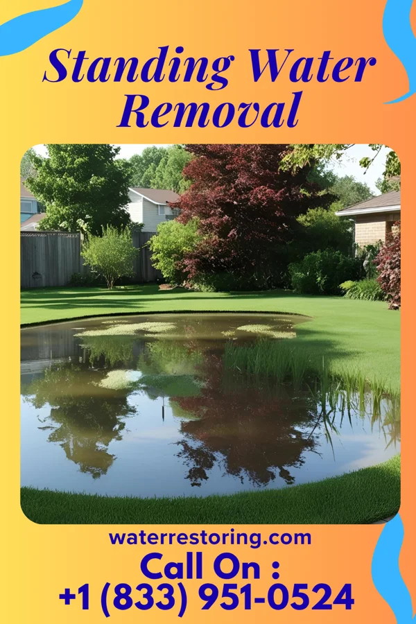 Standing Water Removal in Bryant, IN